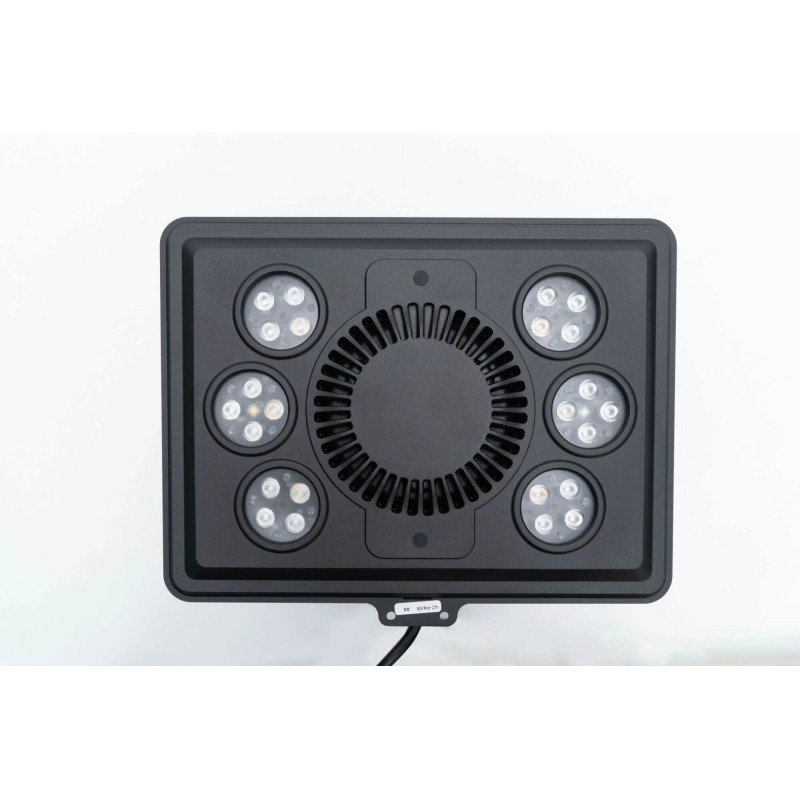 JUMP LED MJ-L165 Blue