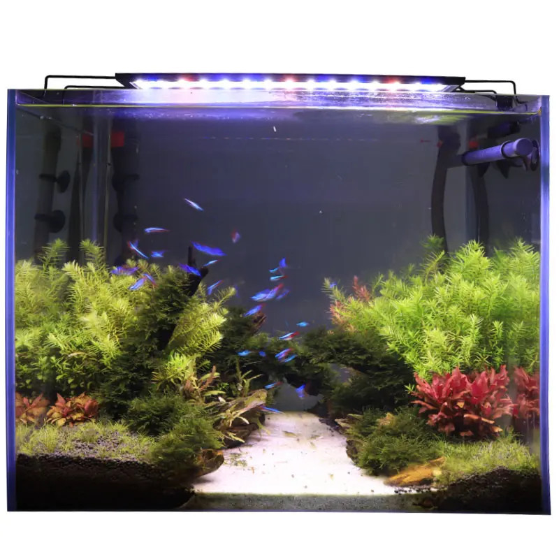 Hygger - LED Vermelho, Branco, Azul