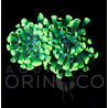 Euphyllia parancora Blotchi III