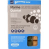 Gamma - Marine Quintet