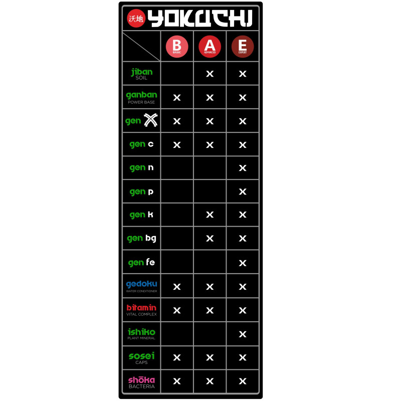 YOKUCHI GEN X