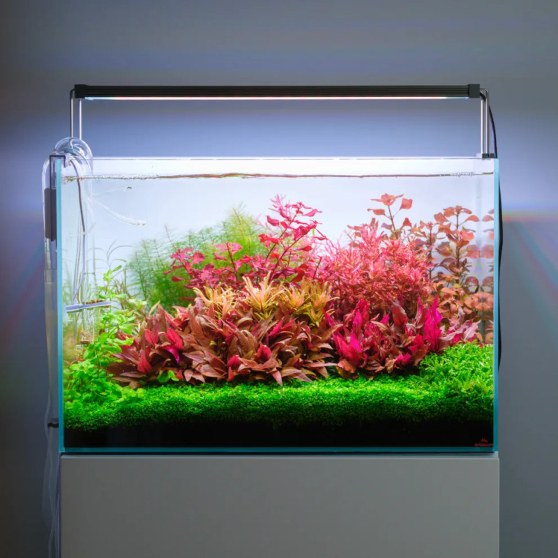 Twinstar Light V 600S