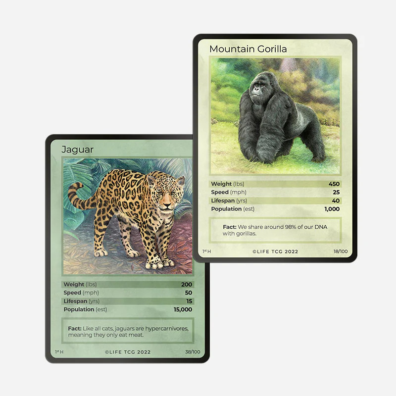 LIFE TCG 1st Edition Gold Booster Box