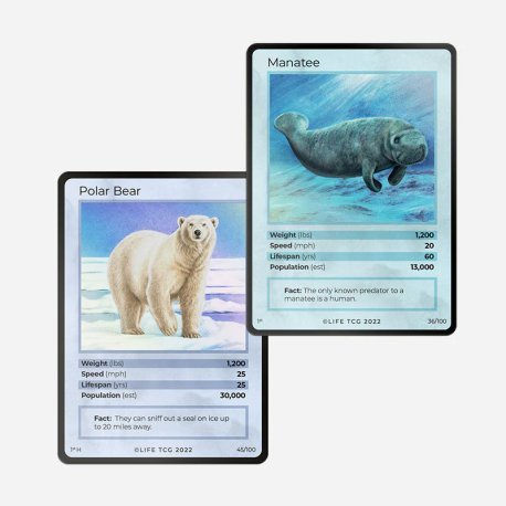 LIFE TCG 1st Edition Gold Booster Box