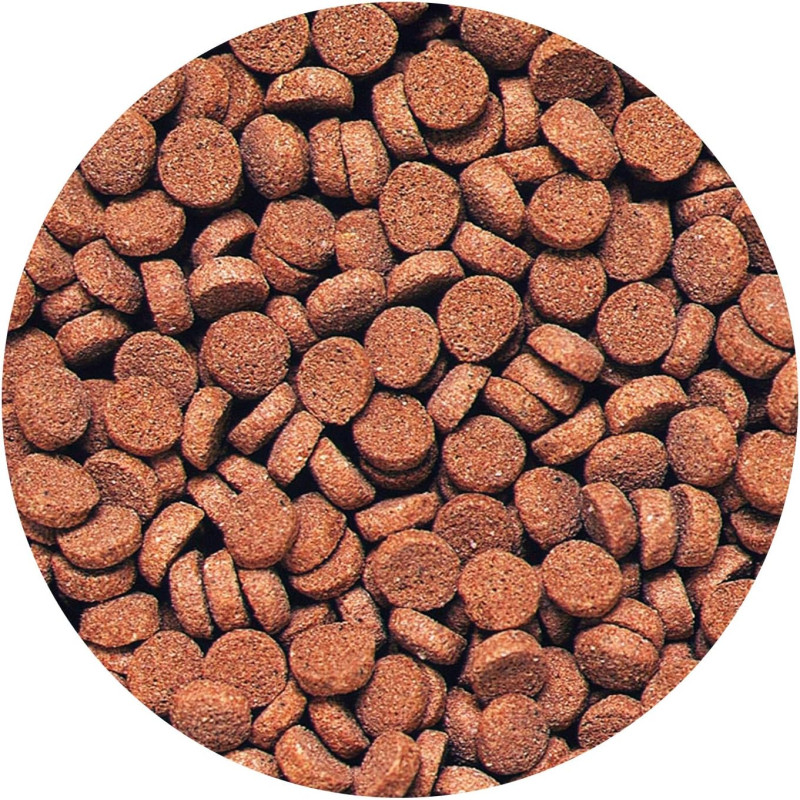 Sinking Carnivore 74g - Hikari