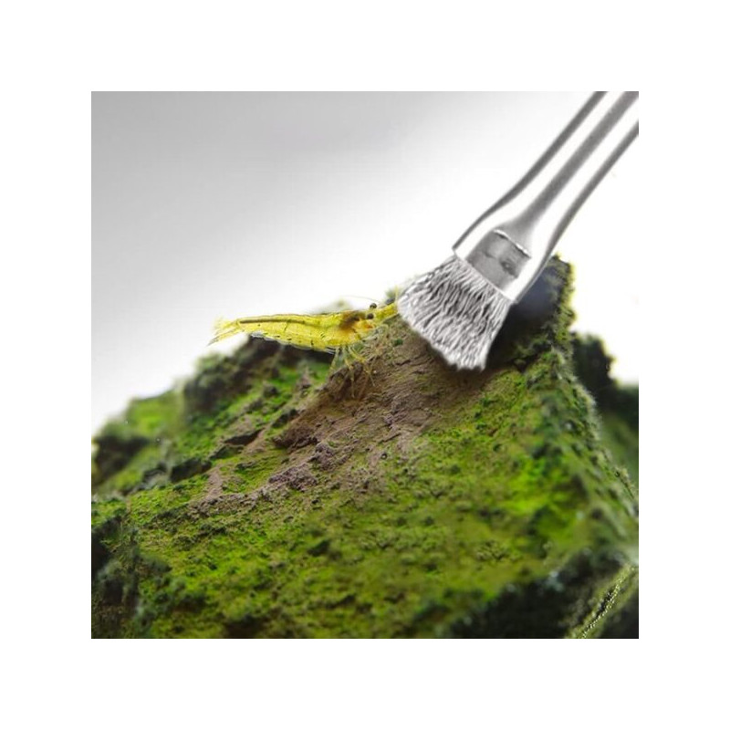 Chihiros Pro-Brush Hard