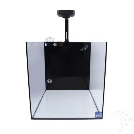 Set Next Wave 85 - TMC