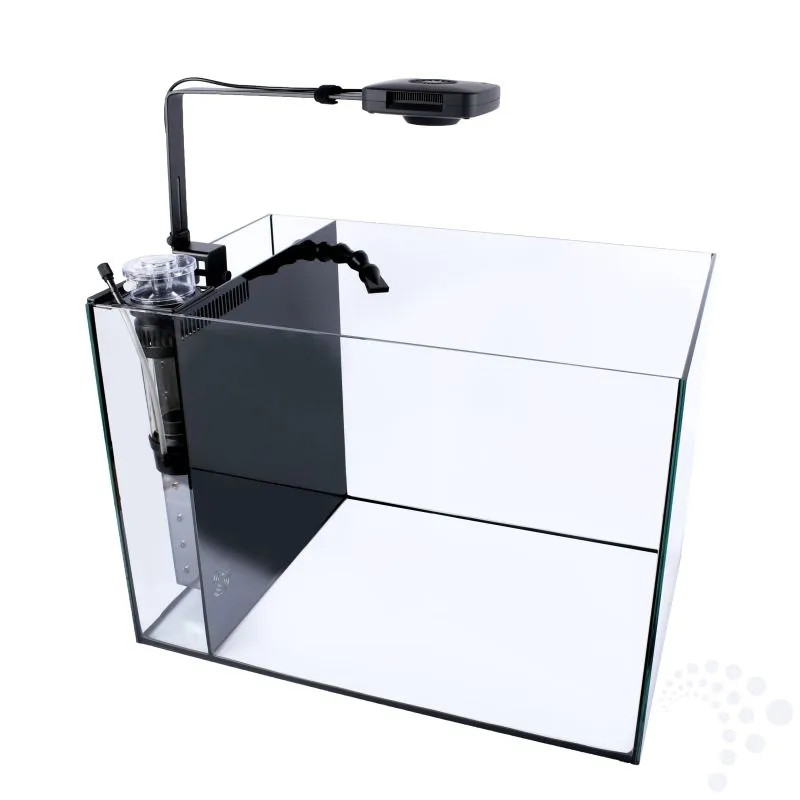 Set Next Wave 85 - TMC