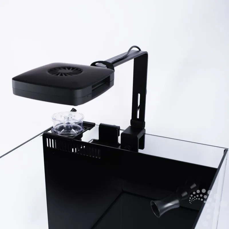 Set Next Wave 60 - TMC