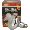 Lámpara de Vapor de Mercurio UVA UVB para Reptiles R30 E27 80W Revestida - LUCKY HERP