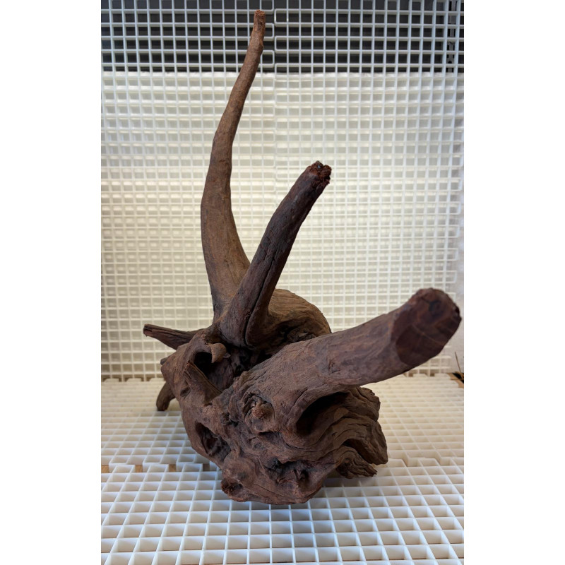 River Wood Peça Nº2