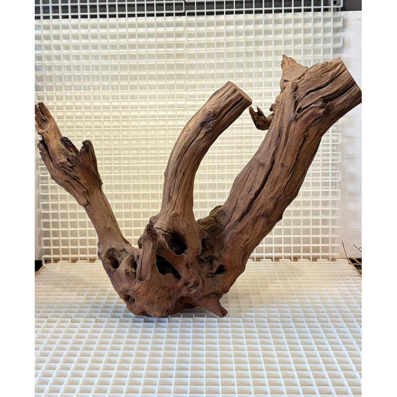 River Wood Peça Nº5