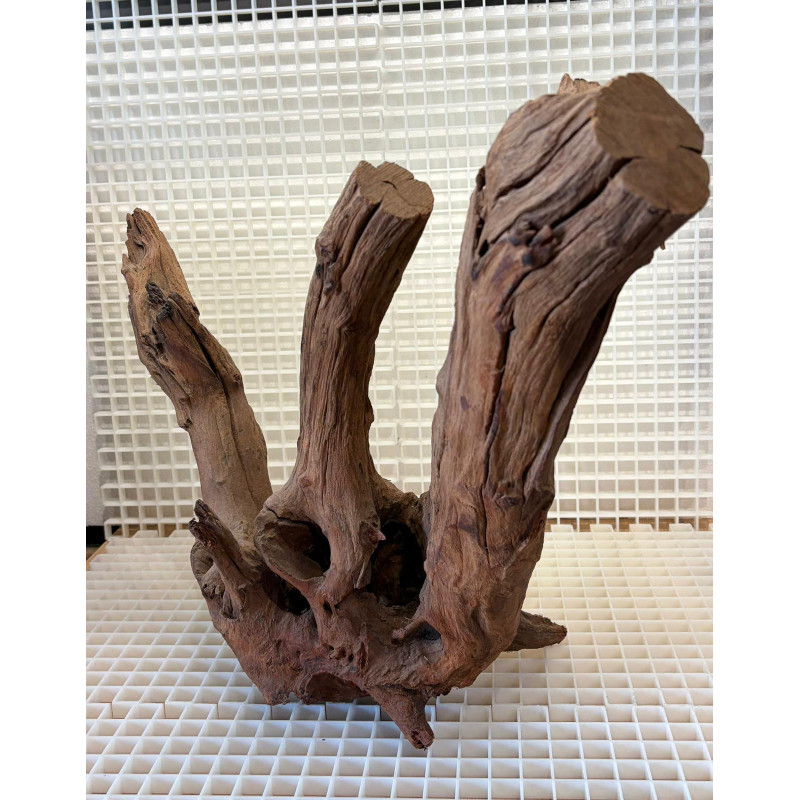 River Wood Peça Nº5