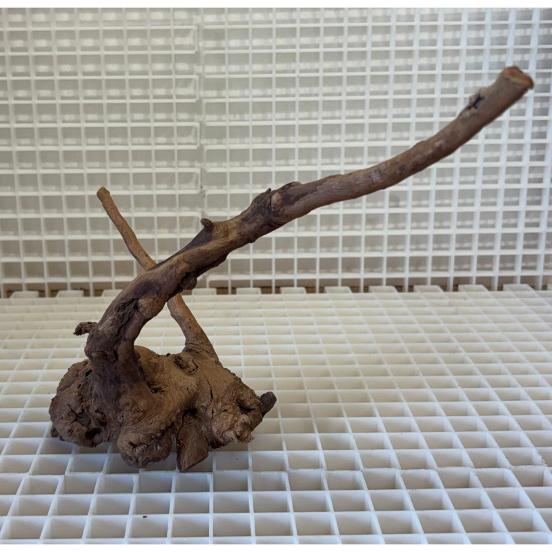 River Wood Peça Nº1