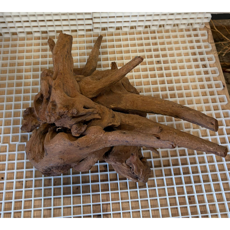 Bonsai para Aquário WYSIWYG Nº28