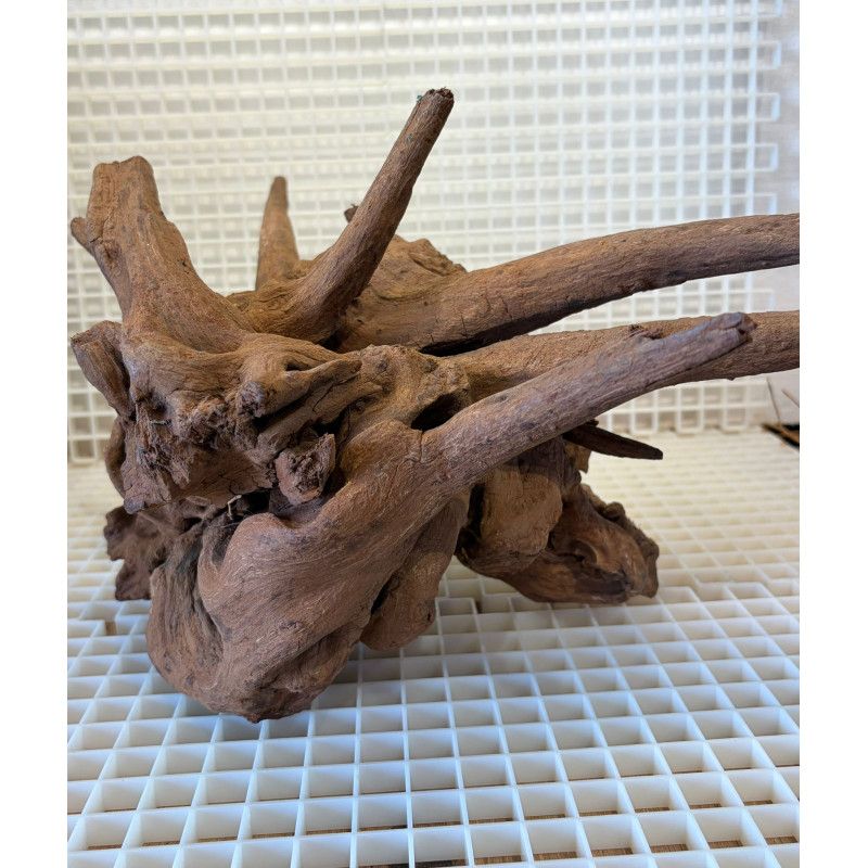 Bonsai para Aquário WYSIWYG Nº28