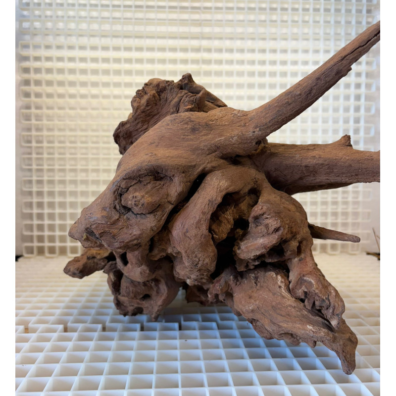 Bonsai para Aquário WYSIWYG Nº28