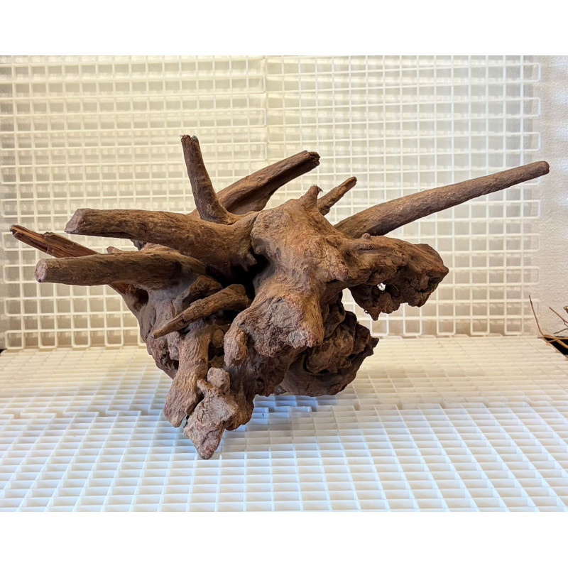 Bonsai para Aquário WYSIWYG Nº28