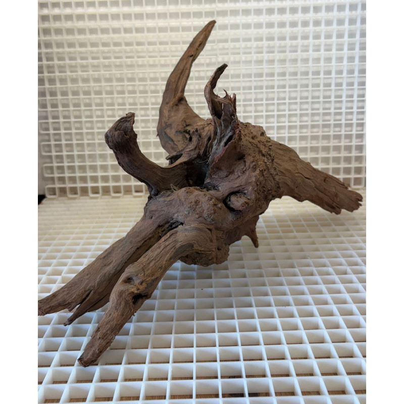 Bonsai para Aquário WYSIWYG Nº26