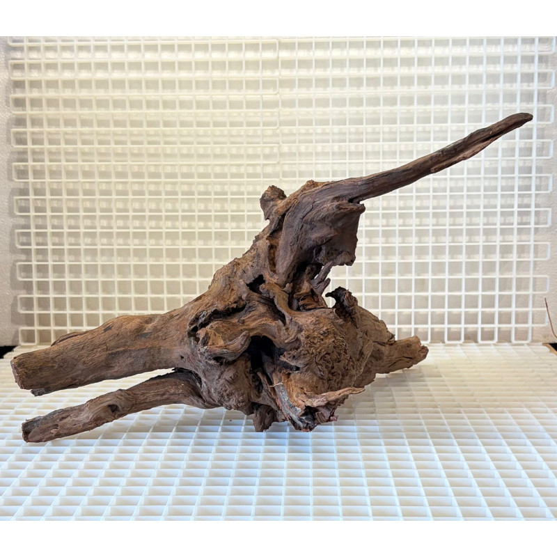 Bonsai para Aquário WYSIWYG Nº26