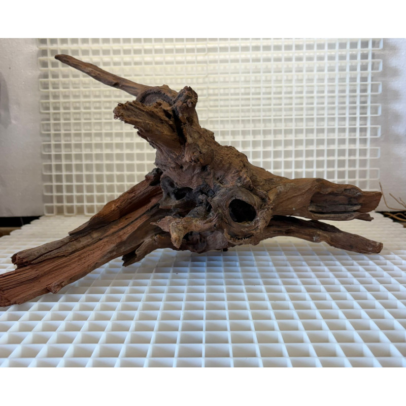 Bonsai para Aquário WYSIWYG Nº26