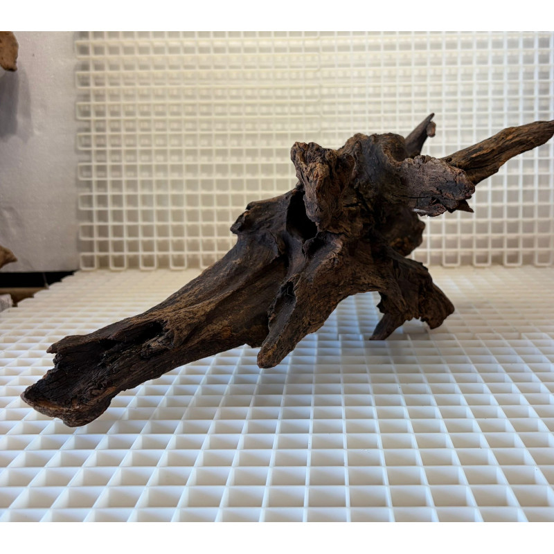 Bonsai para Aquário WYSIWYG Nº25