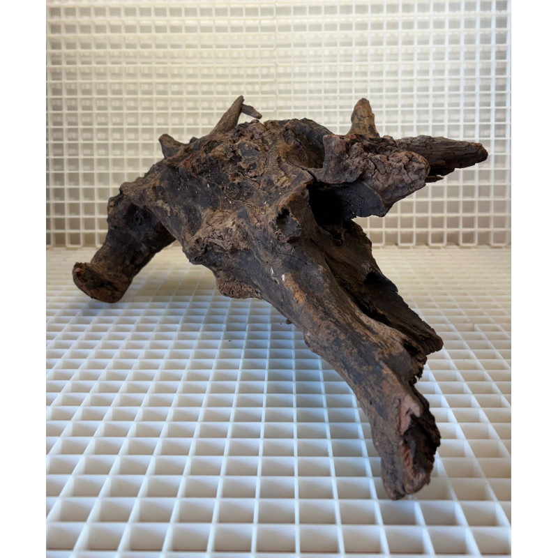 Bonsai para Aquário WYSIWYG Nº25