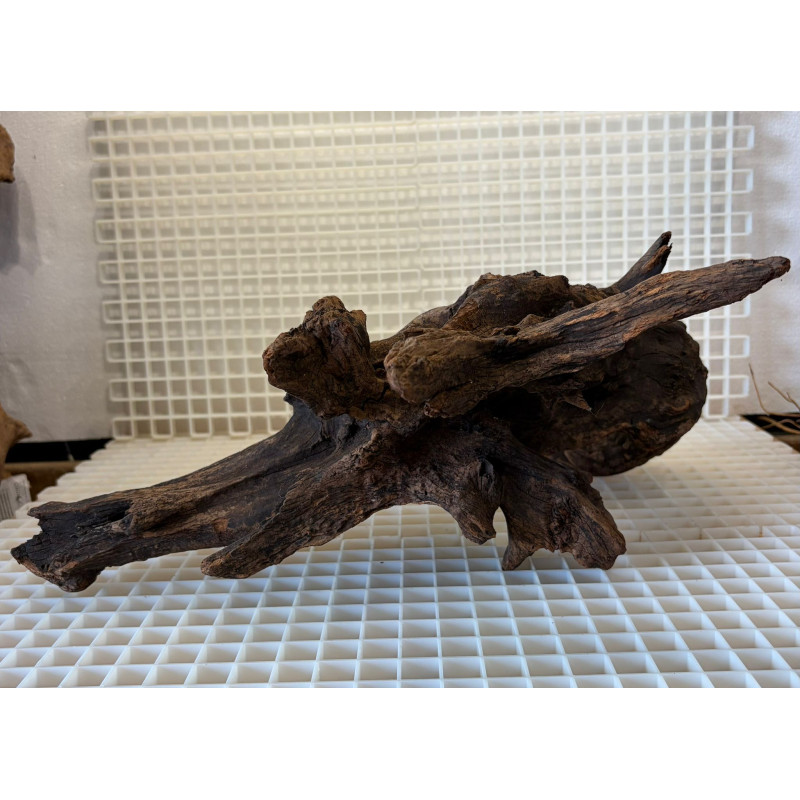 Bonsai para Aquário WYSIWYG Nº25