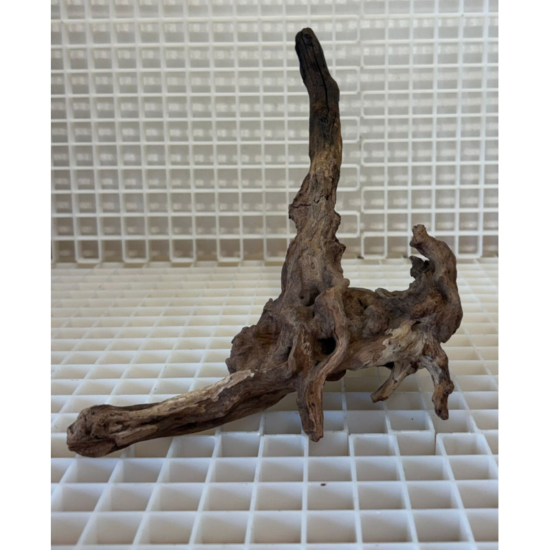 Bonsai para Aquário WYSIWYG Nº24