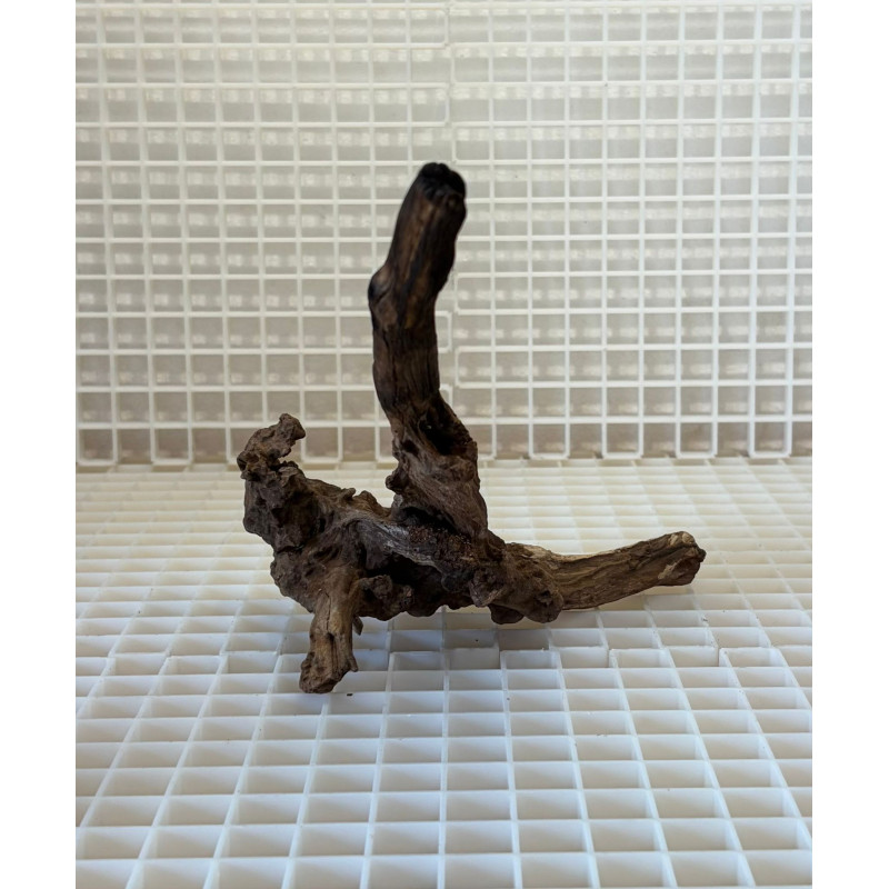 Bonsai para Aquário WYSIWYG Nº24