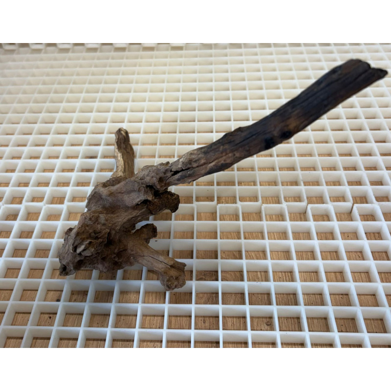 Bonsai para Aquário WYSIWYG Nº24