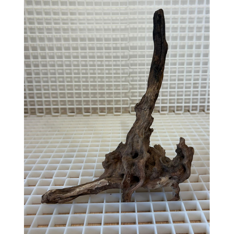 Bonsai para Aquário WYSIWYG Nº24