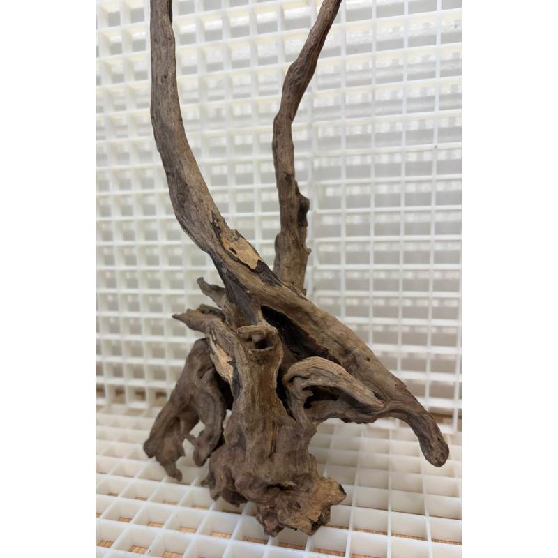 River Wood Pieza Nº11