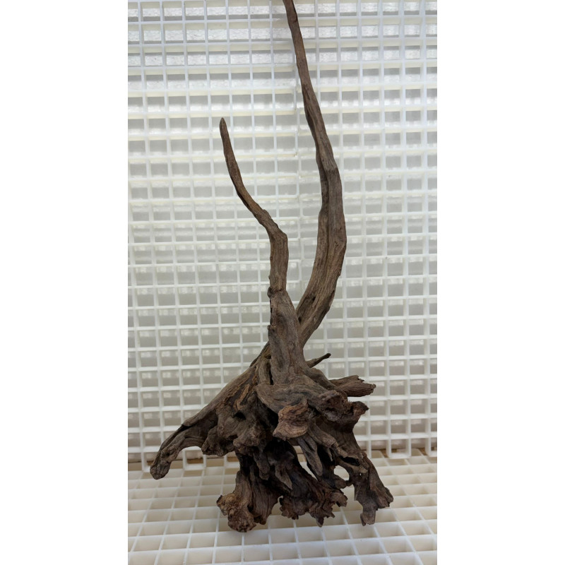 River Wood Pieza Nº11