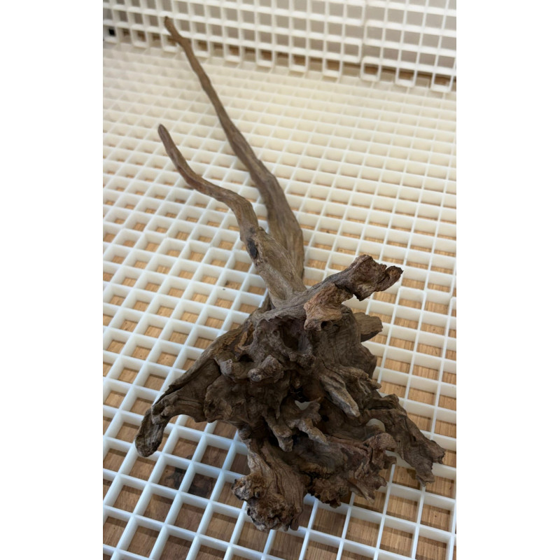 River Wood Pieza Nº11