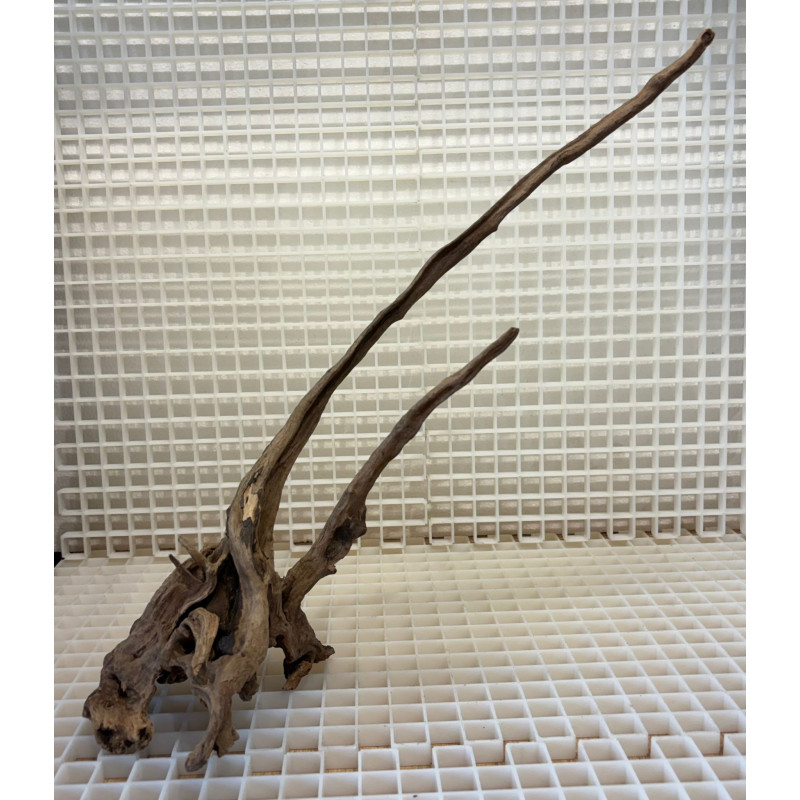 River Wood Piece Nº11