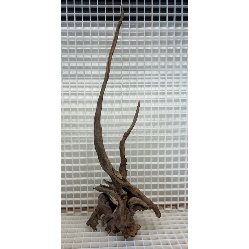 River Wood Piece Nº11