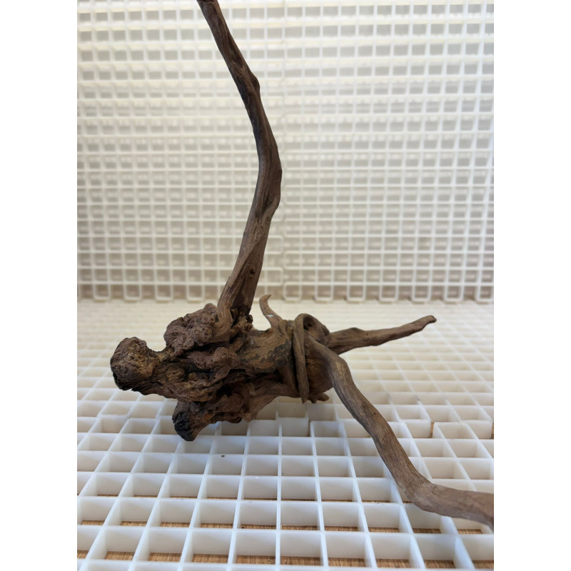 River Wood Pieza Nº13