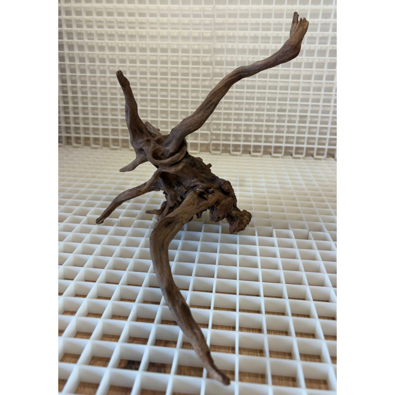 River Wood Peça Nº13