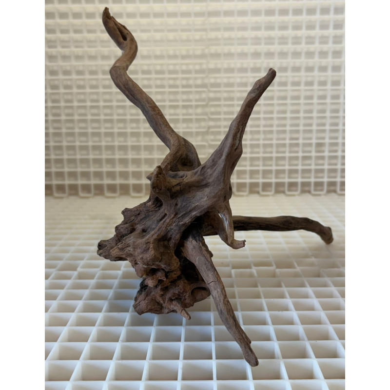 River Wood Peça Nº13