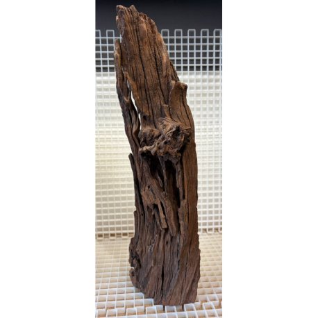 River Wood Pieza Nº14