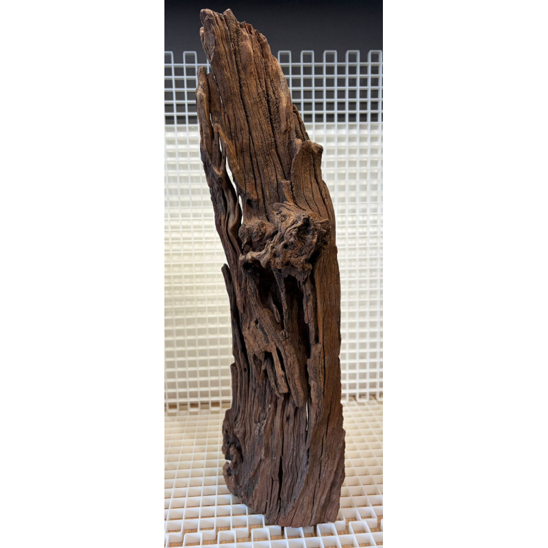 River Wood Pieza Nº14