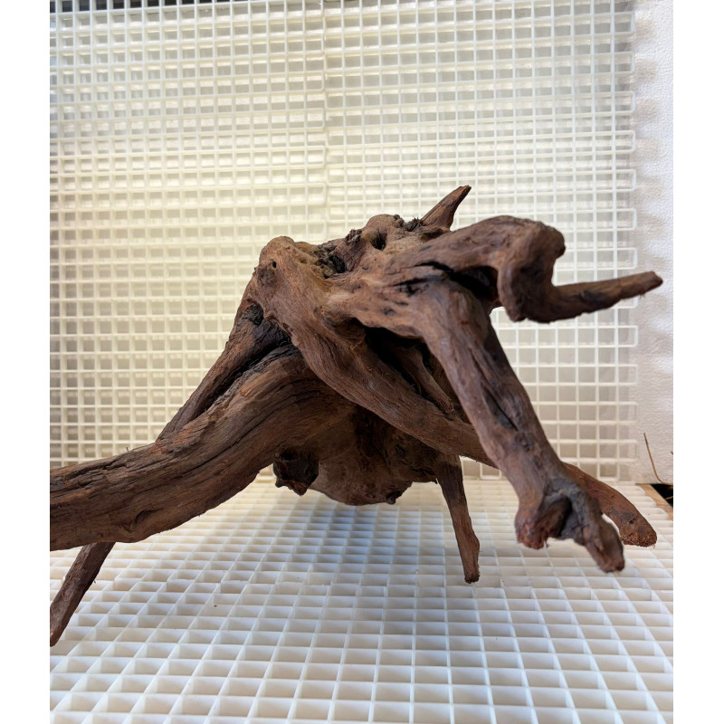 River Wood Pieza Nº15