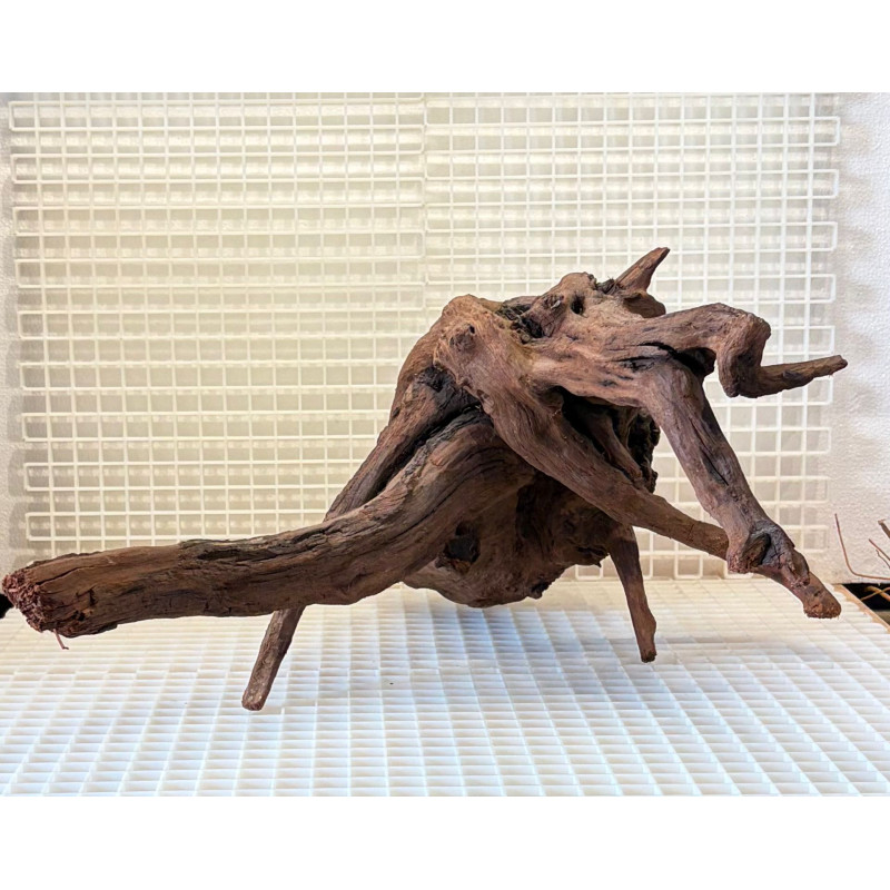 River Wood Pieza Nº15