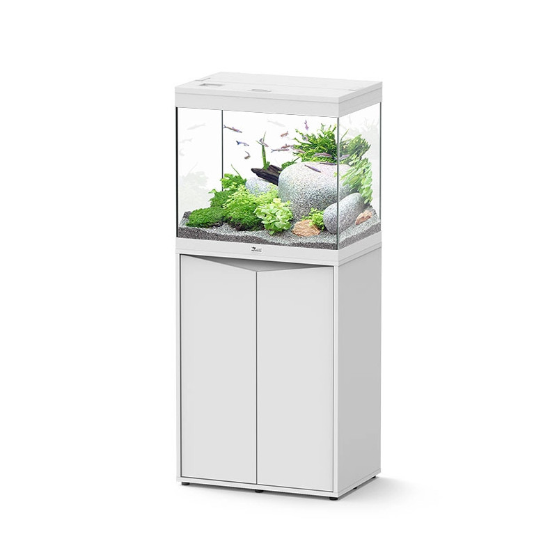 Splendid 60 Aquarium with External Filtration - Aquatlantis