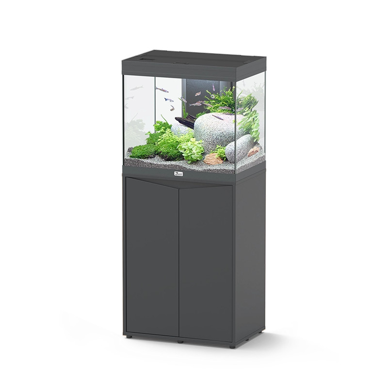 Splendid 60 Aquarium with External Filtration - Aquatlantis