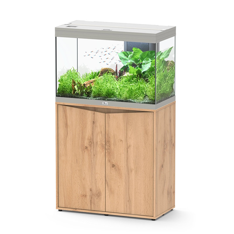 Aquário Splendid Ultra 80 External Filtration - Aquatlantis