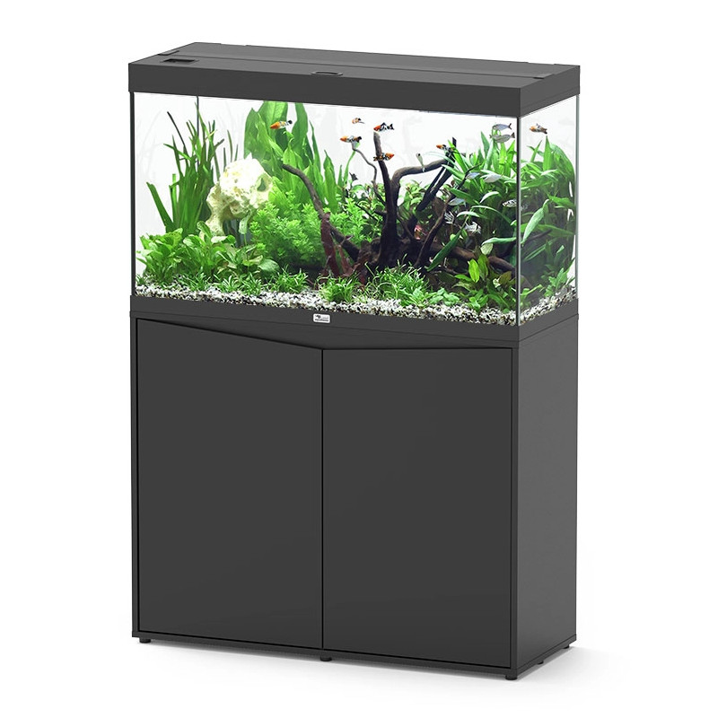 Acuario Splendid Ultra 100 Filtro Externo - Aquatlantis