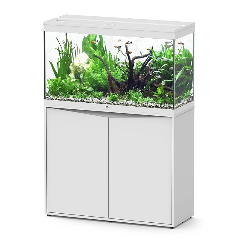 Acuario Splendid Ultra 100 Filtro Externo - Aquatlantis