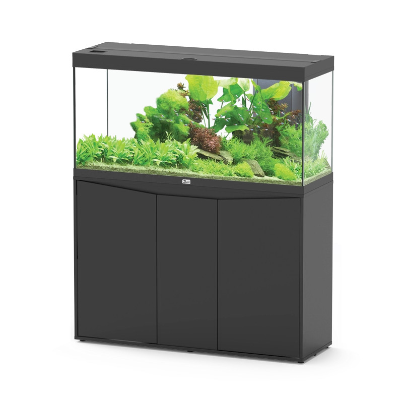 Acuario Splendid 80 - Aquatlantis